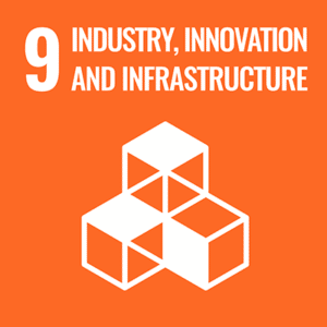 UN sustainable development goal 09