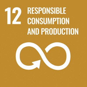 UN sustainable development goal 12