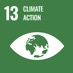 UN sustainable development goal climate action